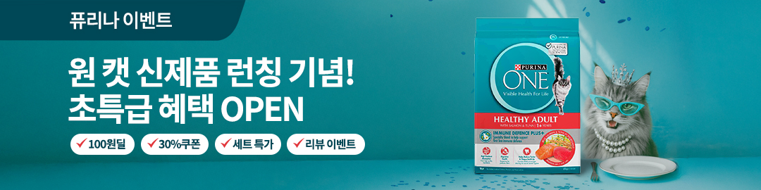 원 캣 6kg 런칭 파티